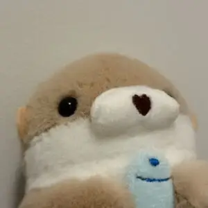 Joey the Otter