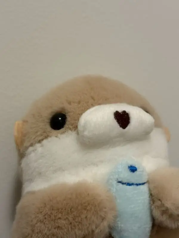 Joey the Otter