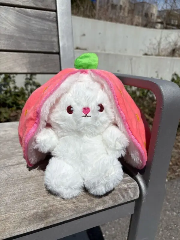 Produce Bunnies - Image 4